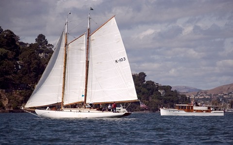 Yankee at anchor under sail in Sausalito